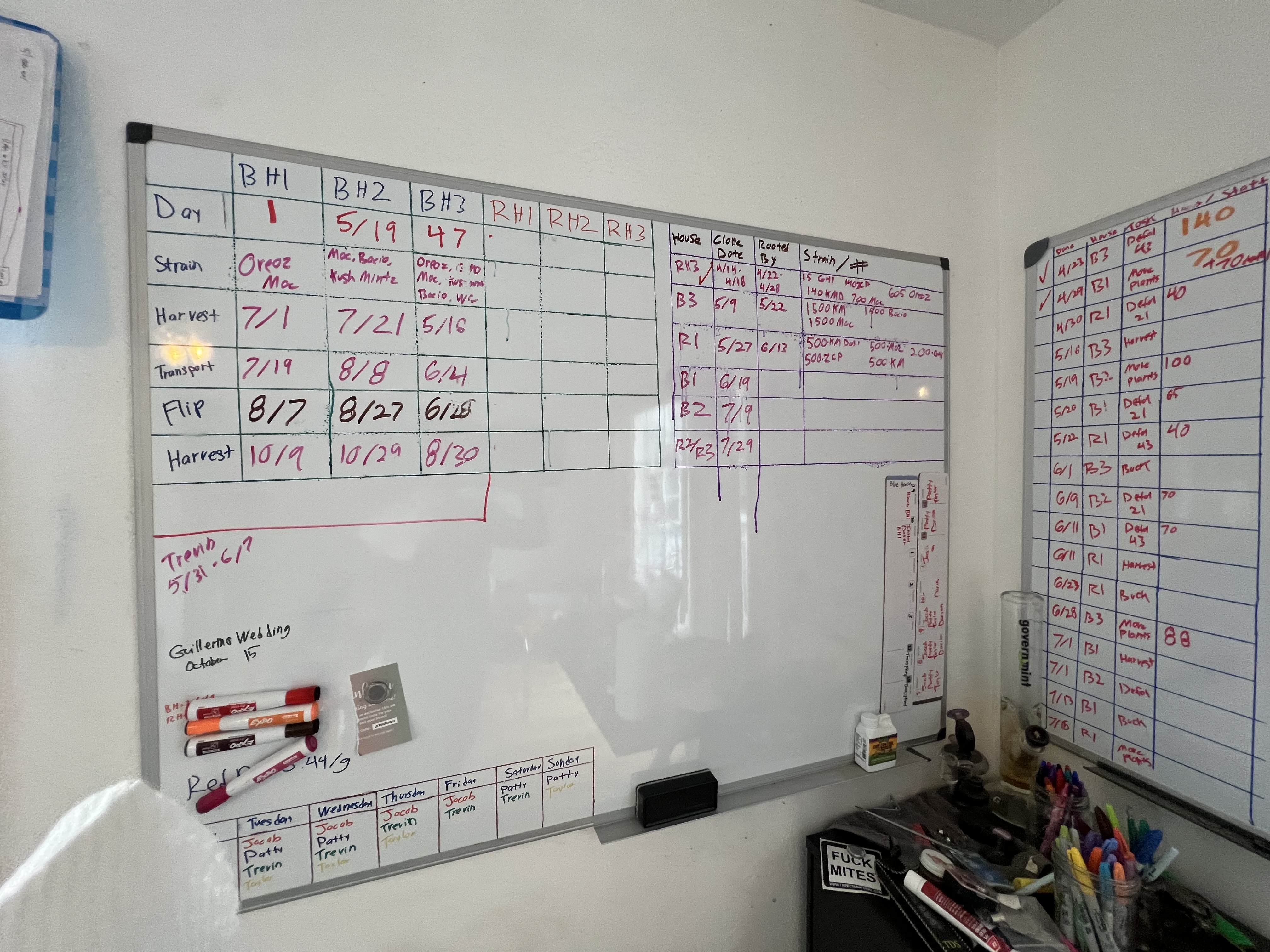 Two whiteboards from Max's office at Wildcreek Farms — BH1, BH2, BH3 columns with day counts, strains (Oreoz, Mac, Bacio, Kush Mints), harvest dates, transport dates, flip dates, clone tracking. Second board shows full-season schedule grid. Employee schedule at bottom.