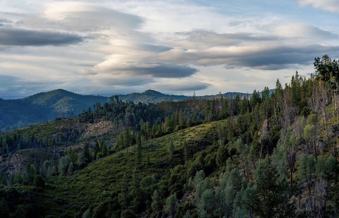 Trinity County, California — forested mountains at dusk, where Wildcreek Farms operated.